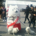 岡崎公園で